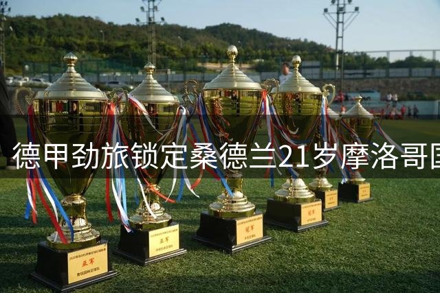 德甲劲旅锁定桑德兰21岁摩洛哥国脚 或成今夏重建核心一环